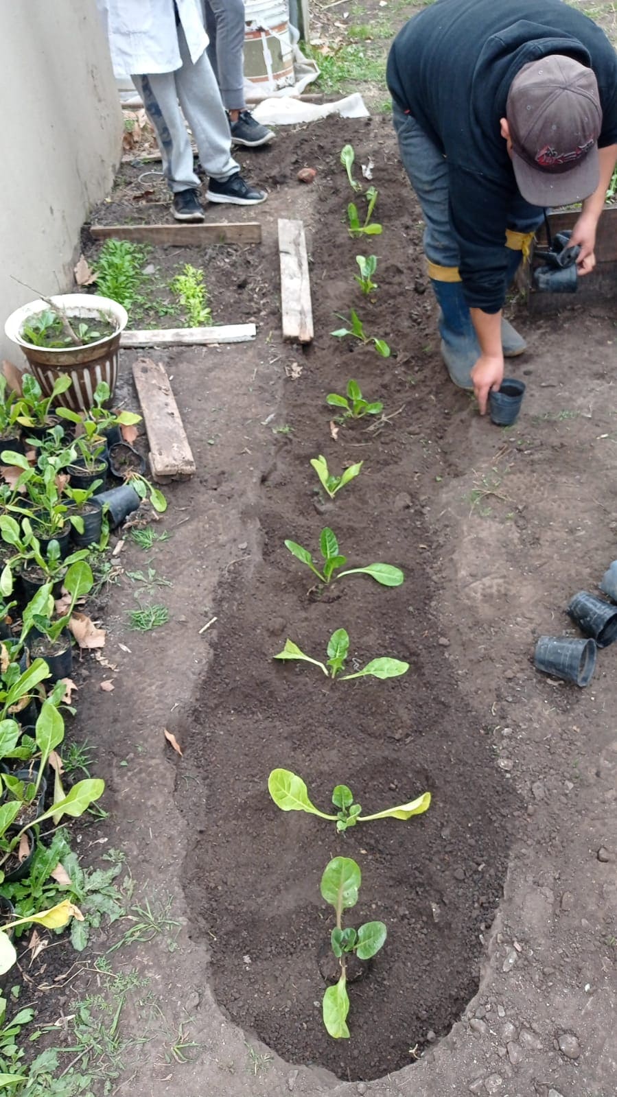 Foto de la escuela 5