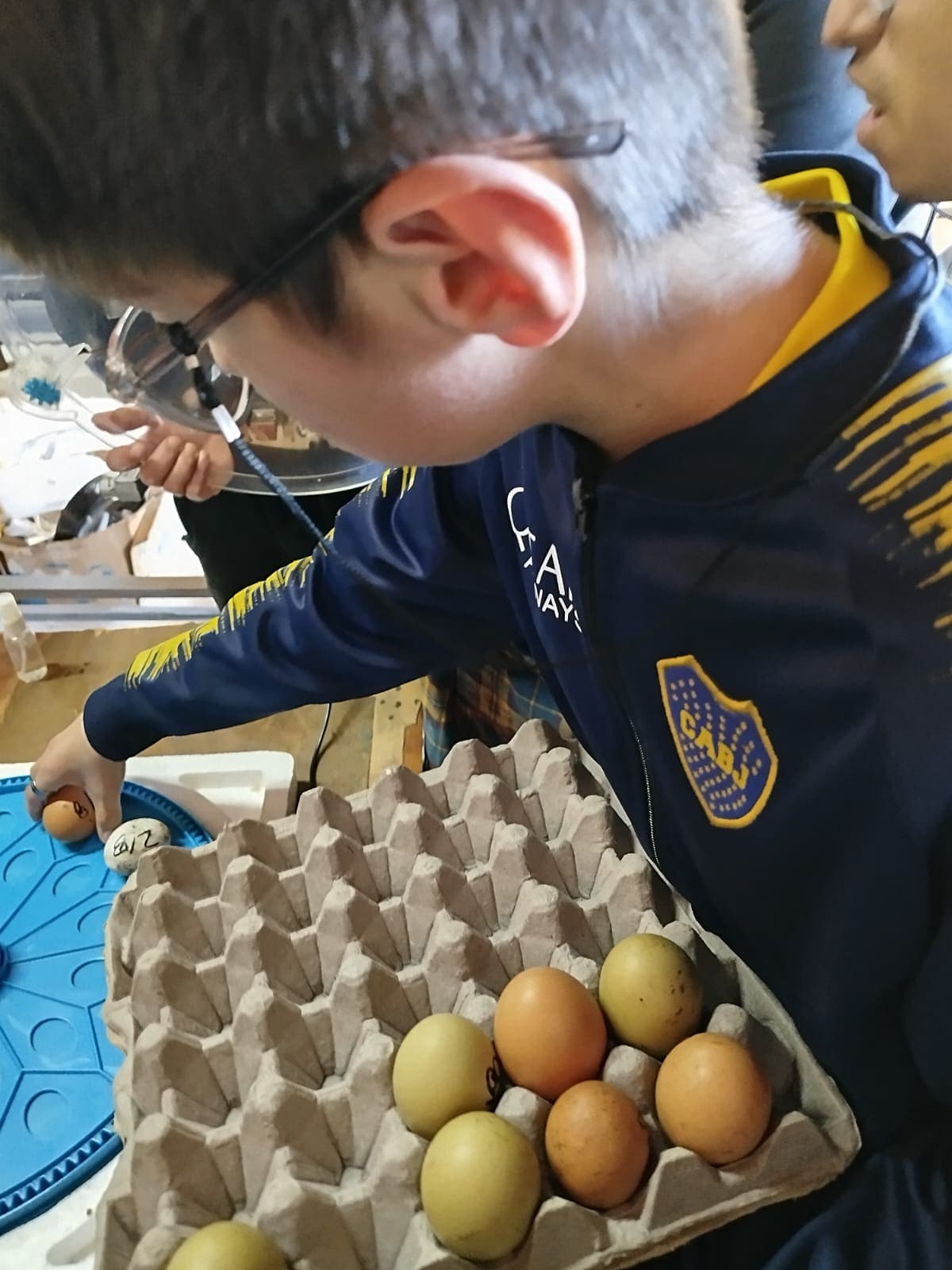 Foto de la escuela 6
