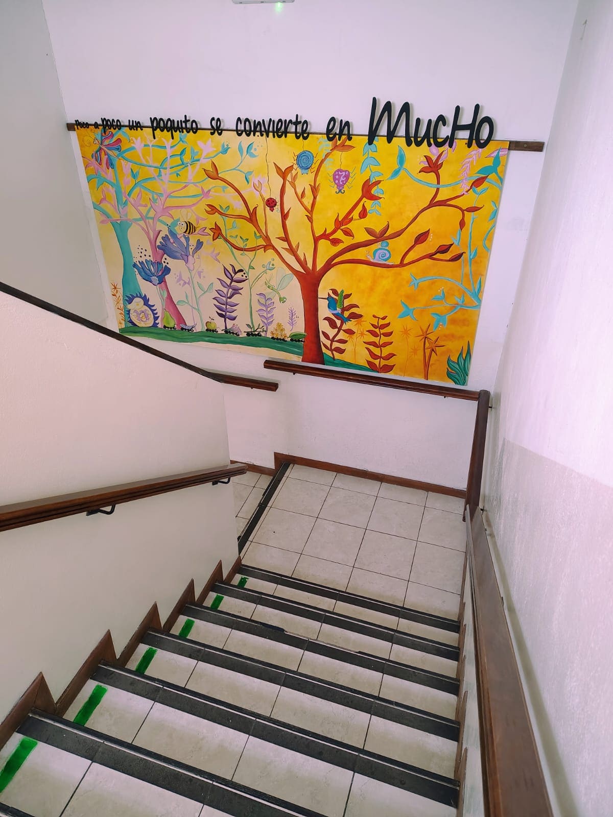 Foto de la escuela 3